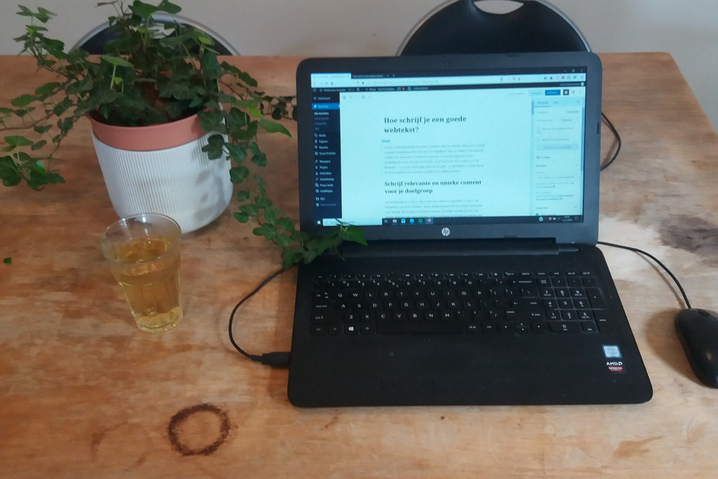 Schrijf een relevante en heldere webtekst voor jouw doelgroep